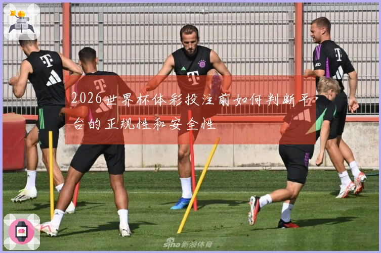 2026世界杯体彩投注前如何判断平台的正规性和安全性