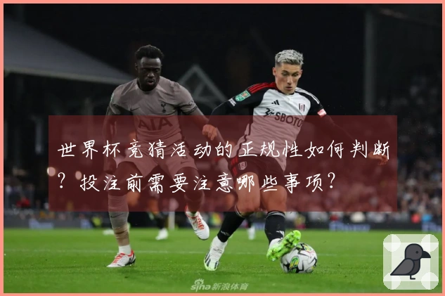 世界杯竞猜活动的正规性如何判断？投注前需要注意哪些事项？