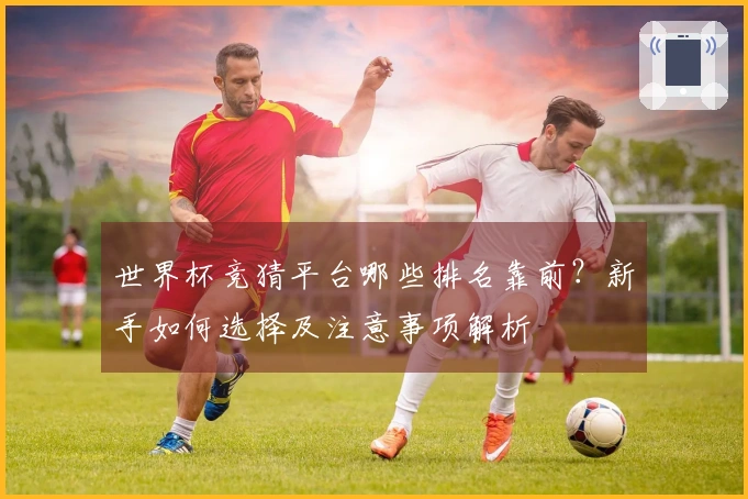 世界杯竞猜平台哪些排名靠前？新手如何选择及注意事项解析
