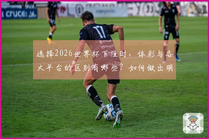 选择2026世界杯下注时，体彩与各大平台的区别有哪些？如何做出明智选择？