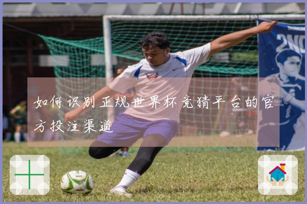 如何识别正规世界杯竞猜平台的官方投注渠道