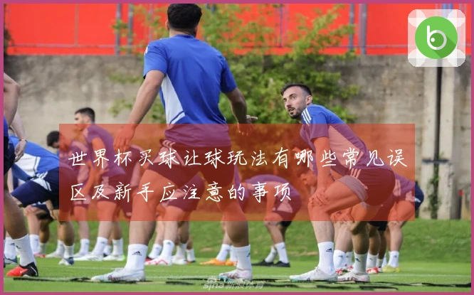 世界杯买球让球玩法有哪些常见误区及新手应注意的事项