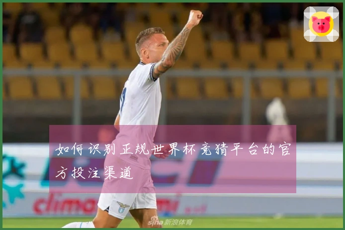 如何识别正规世界杯竞猜平台的官方投注渠道