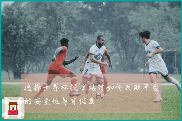 选择世界杯投注站时如何判断平台的安全性与可信度