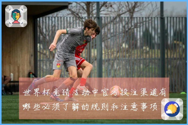 世界杯竞猜活动中官方投注渠道有哪些必须了解的规则和注意事项