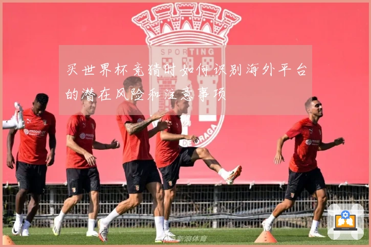 买世界杯竞猜时如何识别海外平台的潜在风险和注意事项