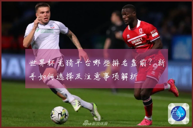 世界杯竞猜平台哪些排名靠前？新手如何选择及注意事项解析