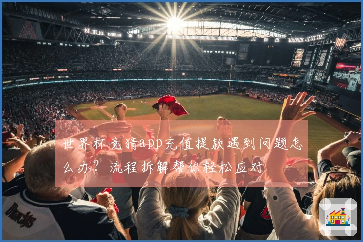 世界杯竞猜app充值提款遇到问题怎么办？流程拆解帮你轻松应对