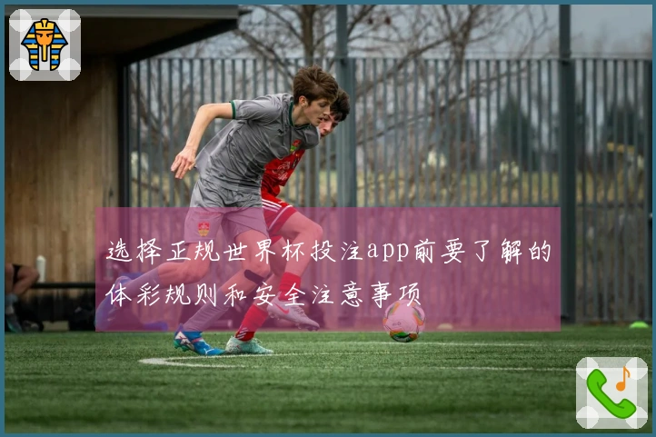 选择正规世界杯投注app前要了解的体彩规则和安全注意事项