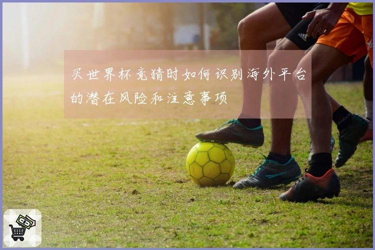 买世界杯竞猜时如何识别海外平台的潜在风险和注意事项