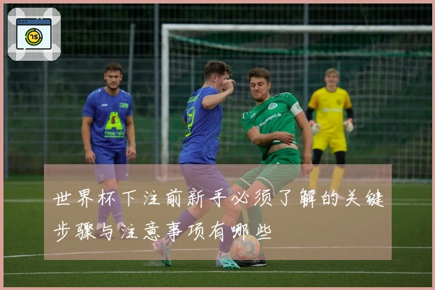 世界杯下注前新手必须了解的关键步骤与注意事项有哪些