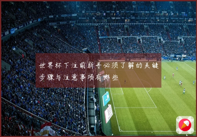 世界杯下注前新手必须了解的关键步骤与注意事项有哪些
