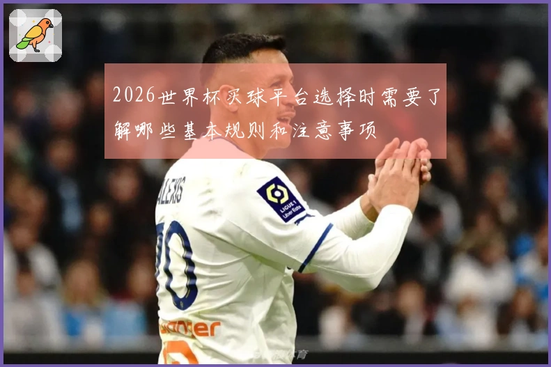 2026世界杯买球平台选择时需要了解哪些基本规则和注意事项