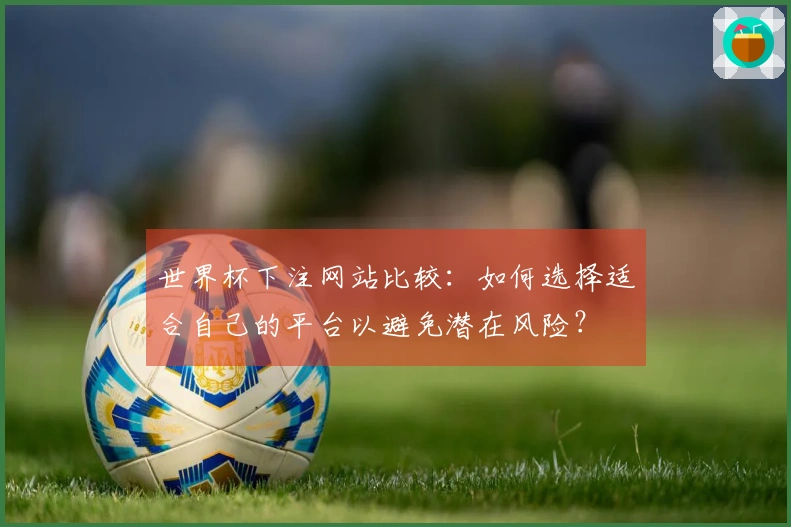 世界杯下注网站比较：如何选择适合自己的平台以避免潜在风险？