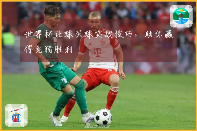 世界杯让球买球实战技巧，助你赢得竞猜胜利