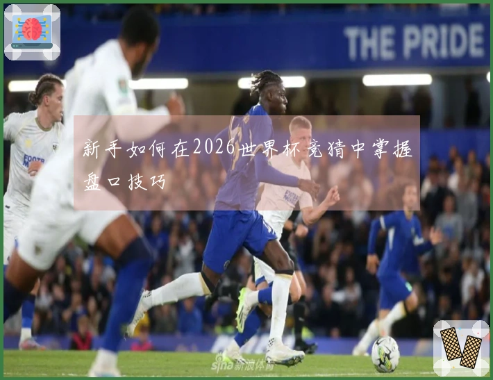 新手如何在2026世界杯竞猜中掌握盘口技巧