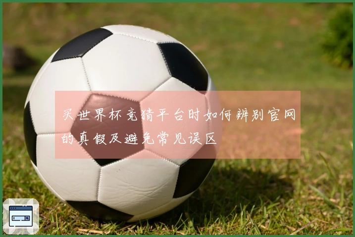 买世界杯竞猜平台时如何辨别官网的真假及避免常见误区