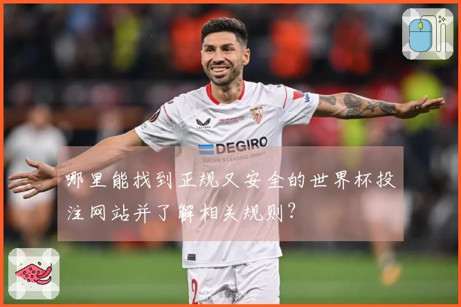 哪里能找到正规又安全的世界杯投注网站并了解相关规则？