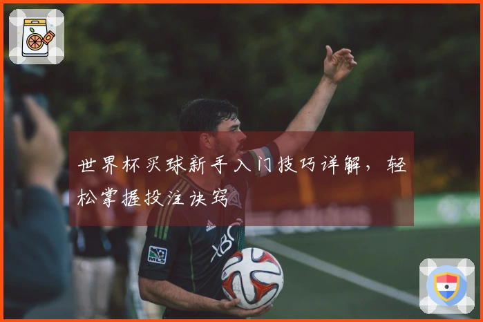 世界杯买球新手入门技巧详解，轻松掌握投注诀窍