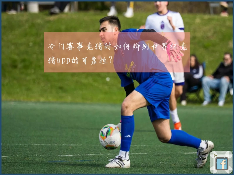 冷门赛事竞猜时如何辨别世界杯竞猜app的可靠性？