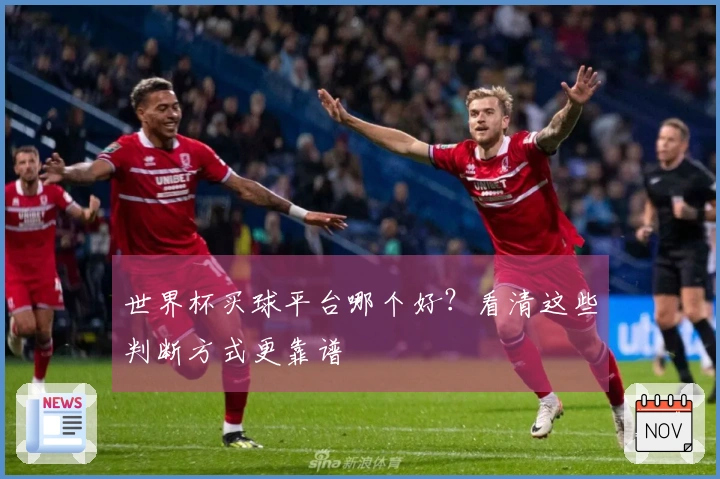 世界杯买球平台哪个好？看清这些判断方式更靠谱