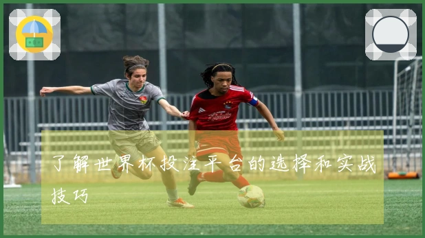 了解世界杯投注平台的选择和实战技巧