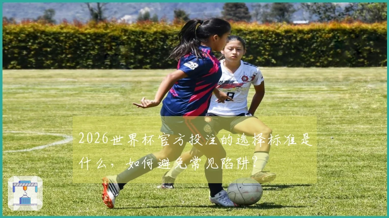 2026世界杯官方投注的选择标准是什么，如何避免常见陷阱？