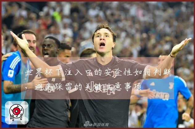 世界杯下注入口的安全性如何判断，避免踩雷的关键注意事项