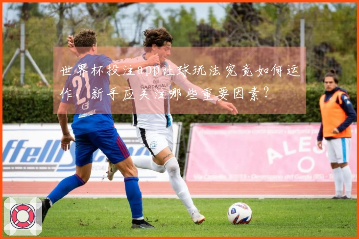 世界杯投注app让球玩法究竟如何运作，新手应关注哪些重要因素？